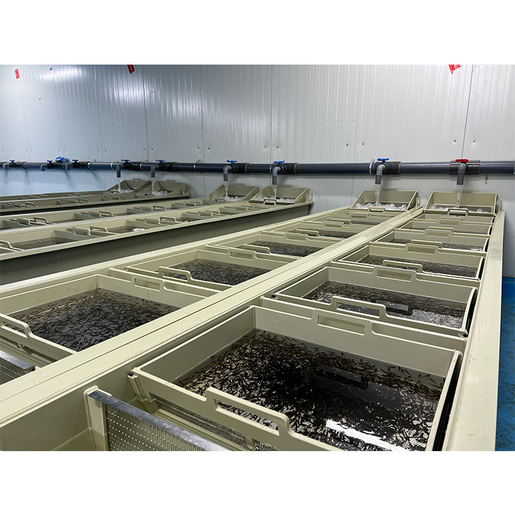 ras system tilapia fish egg incubators aquaculture equipment tanks for indoor fish farming system/fish hatchery equi