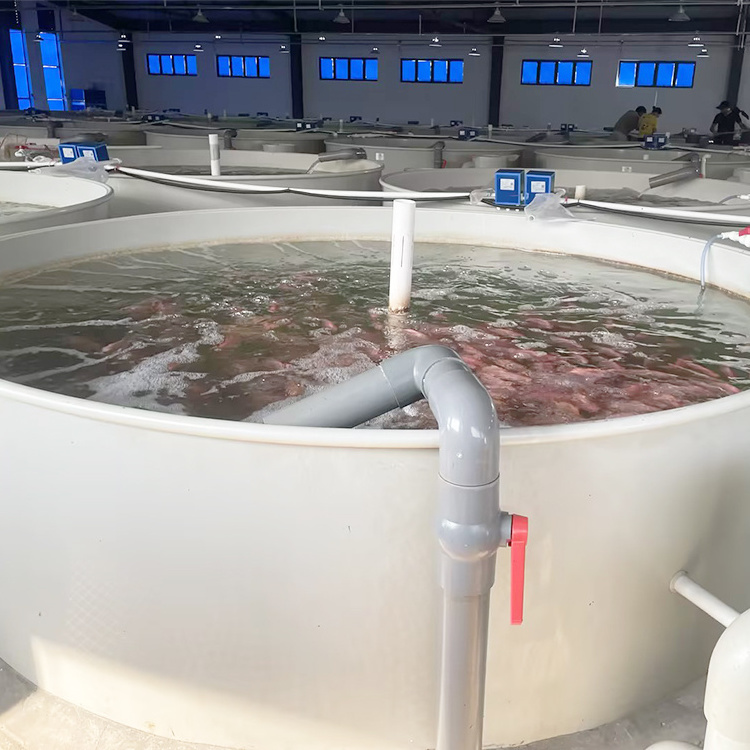 Aquaculture Sea Salt Betta Farm Fish,Crayfish Farming,Shrimp Farm Lobster