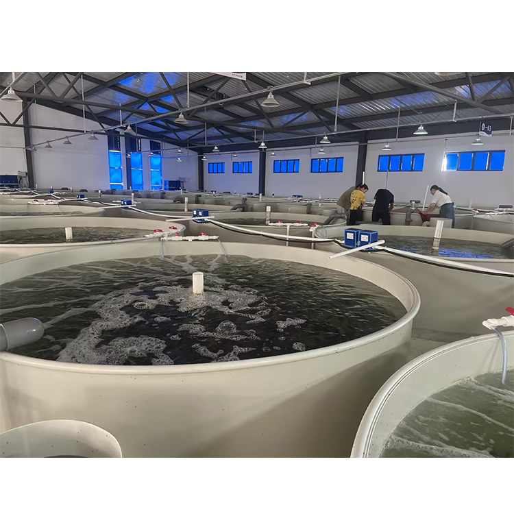 Aquaculture Sea Salt Betta Farm Fish,Crayfish Farming,Shrimp Farm Lobster