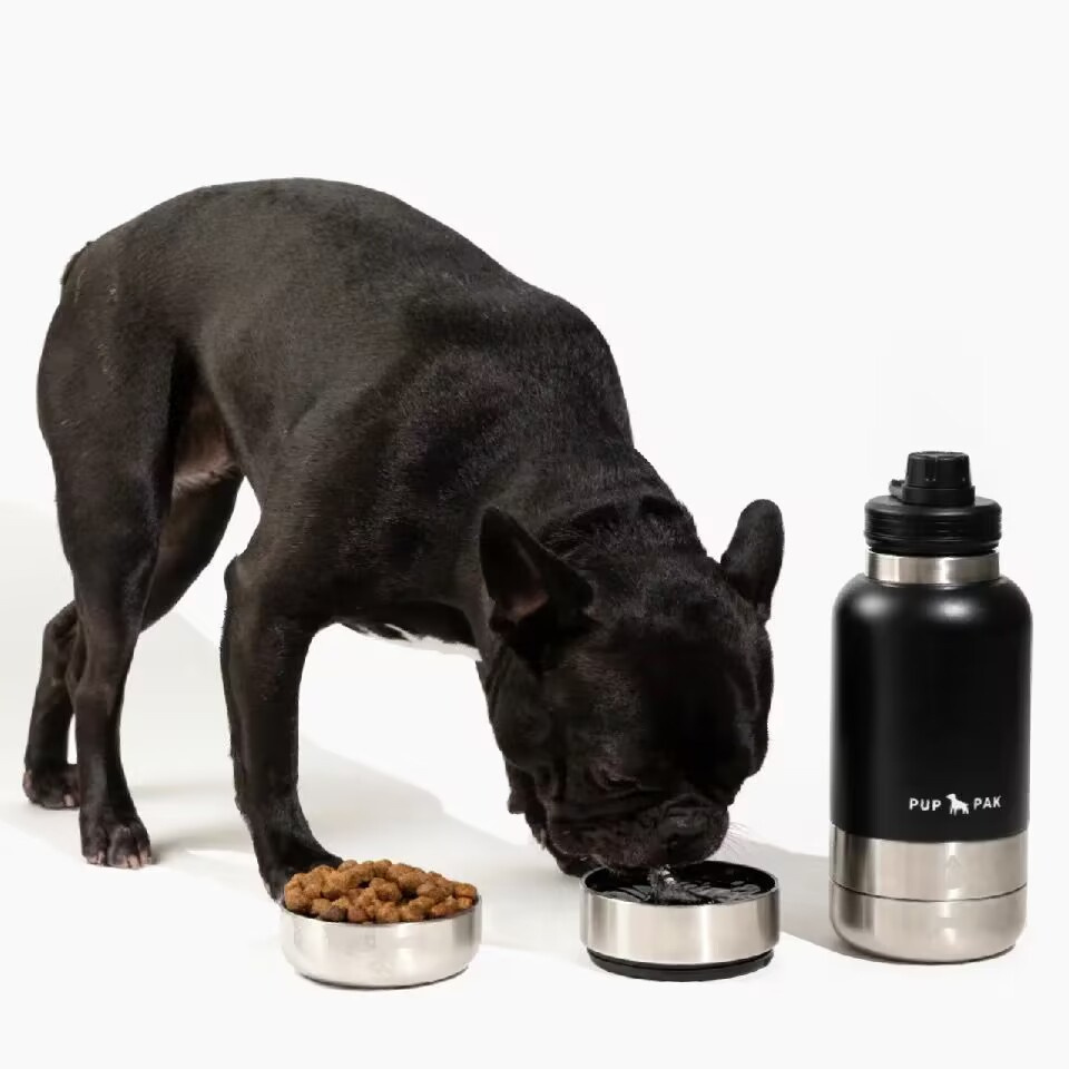 Wholesale Half Gallon 64oz Insulated Stainless Steel 3 in 1 Travel Dog Water Bottle With Food Container