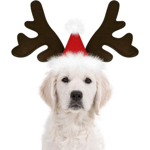 Christmas Dog Supplies Reindeer Antlers Headband Santa Hat Pet Christmas Cool Dog Costume Cute Headwear Accessories