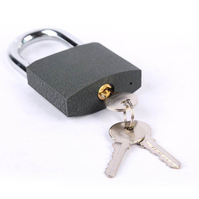 Zeise-ikon cheap gray iron padlock brass lock cylinder safety padlock 20mm 30mm 40mm 50mm iron padlock