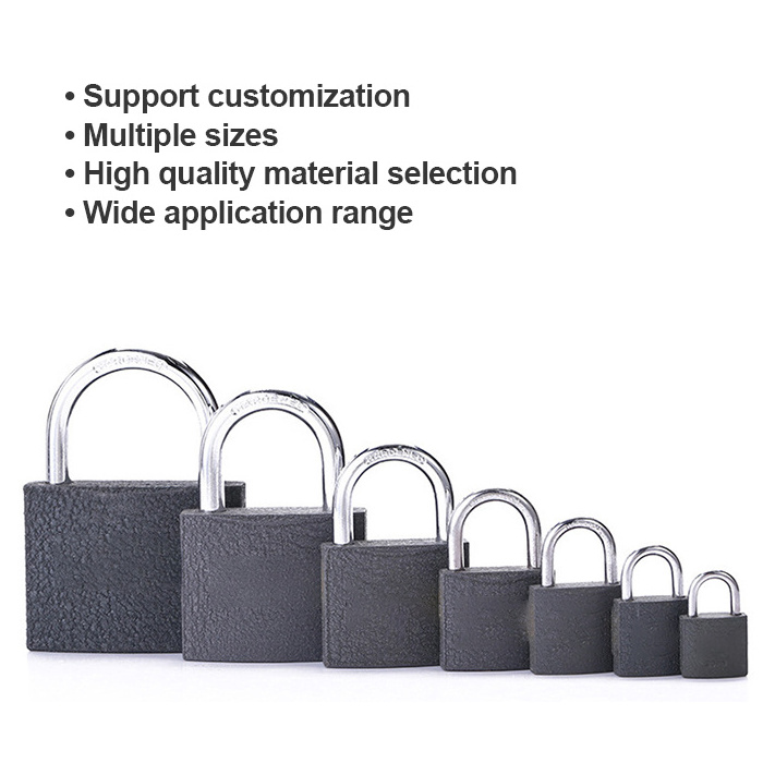 Zeise-ikon cheap gray iron padlock brass lock cylinder safety padlock 20mm 30mm 40mm 50mm iron padlock