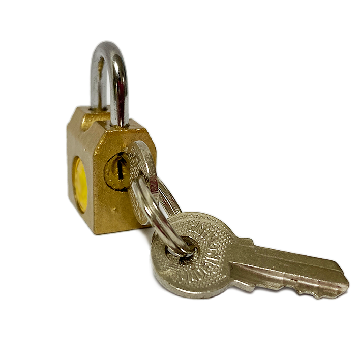 Custom Lock Top Padlock High Safety Padlock Key Alike Small Mini Copper Brass Padlock