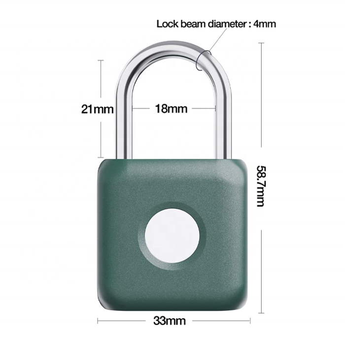 Biometric Metal Keyless Fingerprint Lock Waterproof USB Rechargeable for Gym Locker, School Locker, Luggage, Backpack