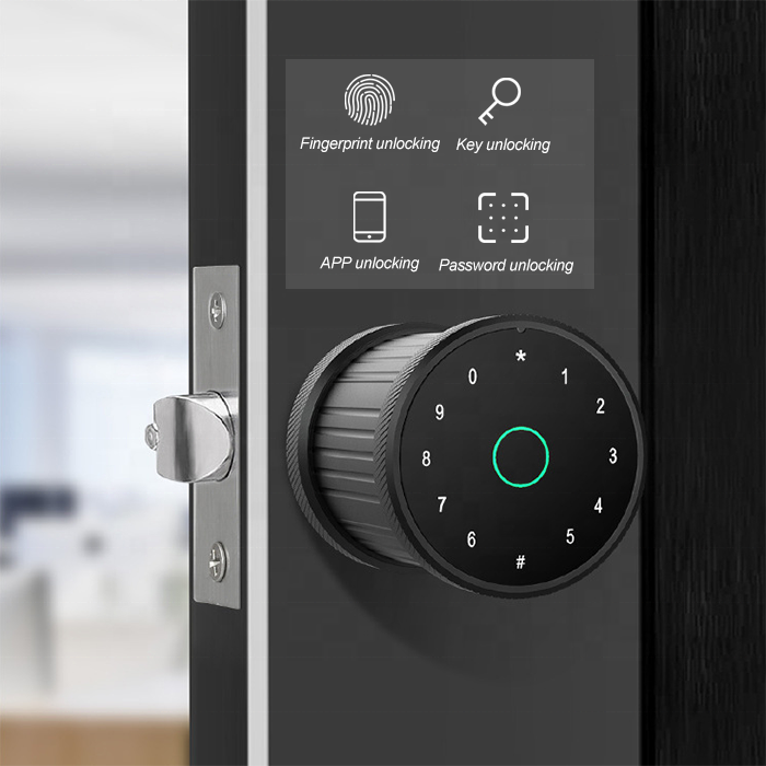 Zeise-ikon Indoor smart fingerprint password lock smart door knob lock house smart lock door