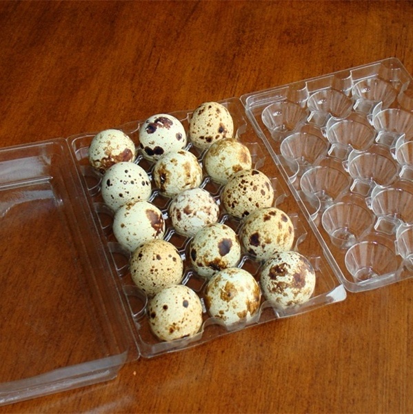 24 cells quail egg tray pvc plastic clear egg packaging container