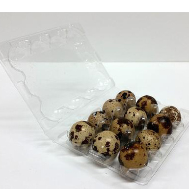 18 holes plastic quail egg carton