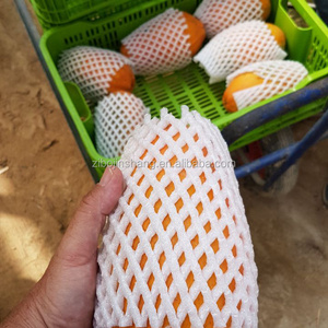 PE fruit packaging net china manufacturers foam plastic netting