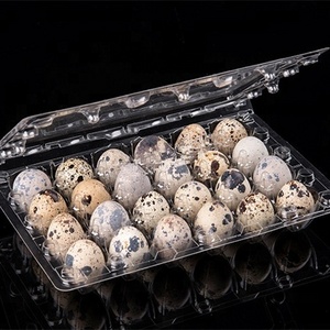 24 cells quail egg tray pvc plastic clear egg packaging container