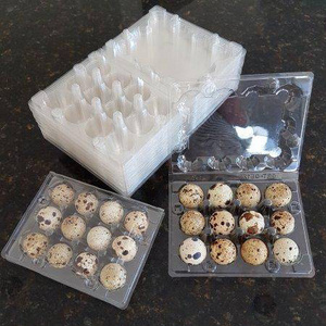 18 holes plastic quail egg carton