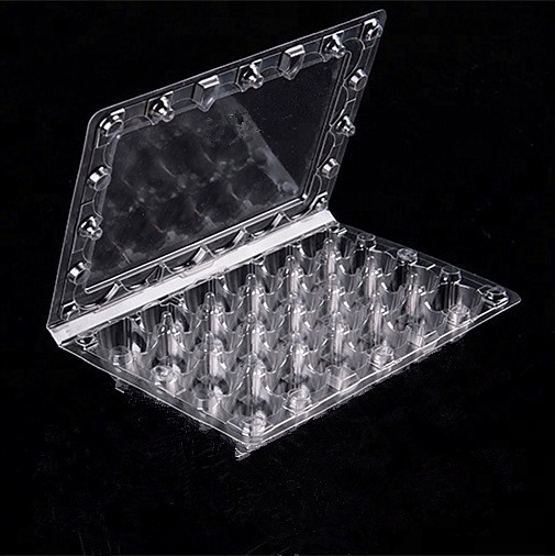 Hot Sale Clear PET Plastic Quail Egg Tray For Packing Eggs