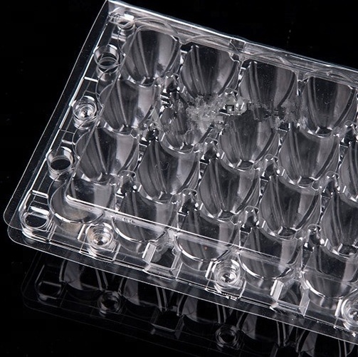 Hot Sale Clear PET Plastic Quail Egg Tray For Packing Eggs