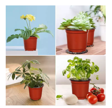 Plastic Flower Pot Garden Gallon Pots 1 / 2 / 2.5 / 3 / 5 / 7 / 9 / 12 Double Color Flower Pots