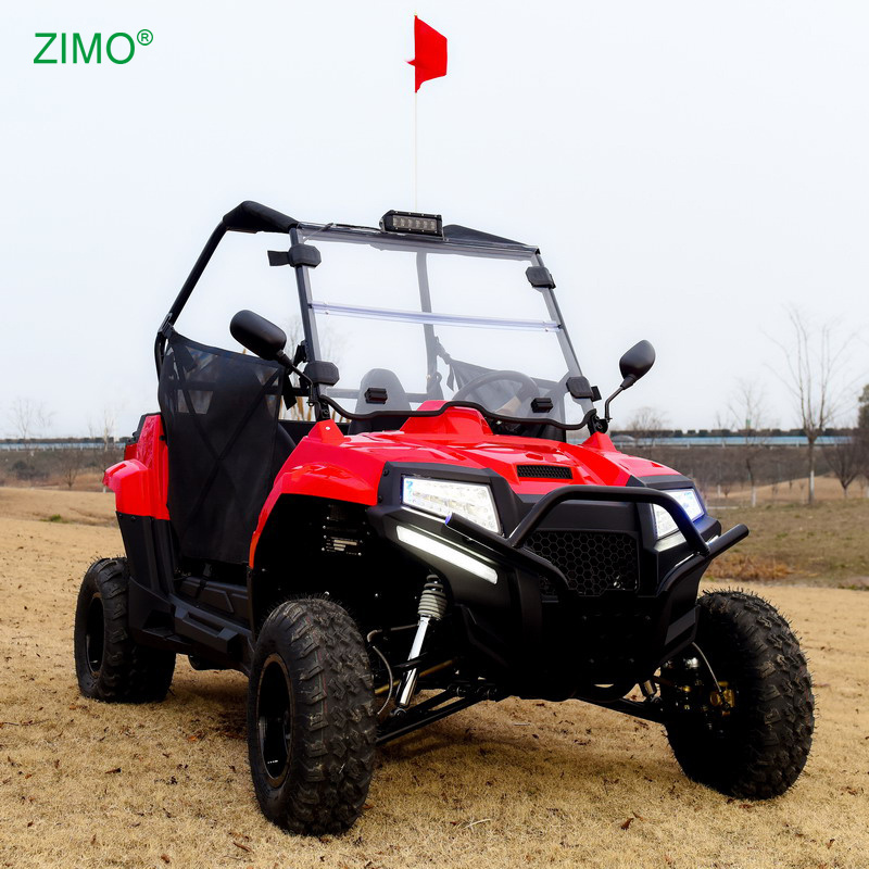 Popular Powerful 200cc Gasoline 4 Stroke Buggy 2 Seater UTV