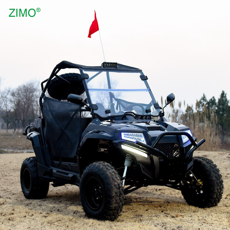 10L Fuel Capacity 200cc Gas Buggy Side By Side 2 Seater UTV