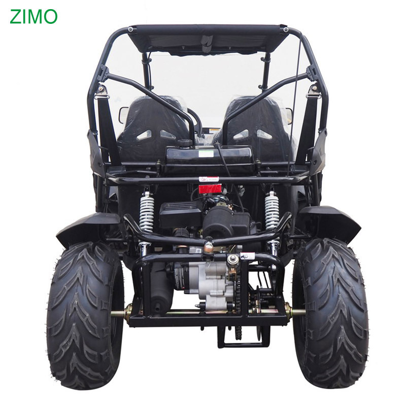 2024 45km/h Electric/Pull Start System Dune Buggy 2 Seater Go Kart, 4 Stroke 200cc Racing Off Road Go Kart