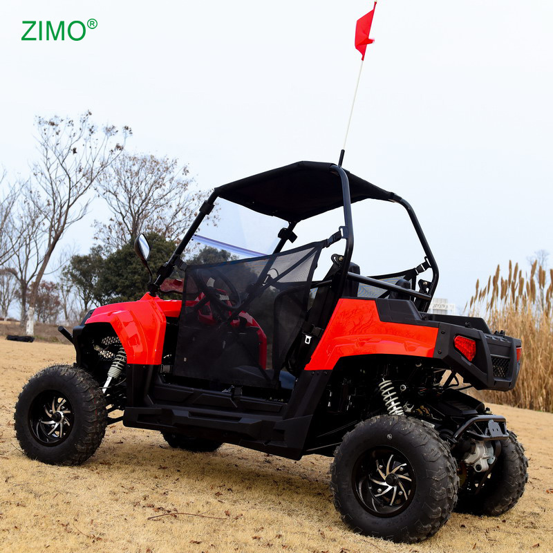 Popular Powerful 200cc Gasoline 4 Stroke Buggy 2 Seater UTV