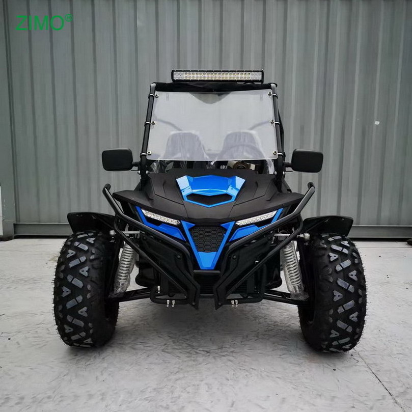 2024 Popular 300cc 2 Seats Dune Buggy