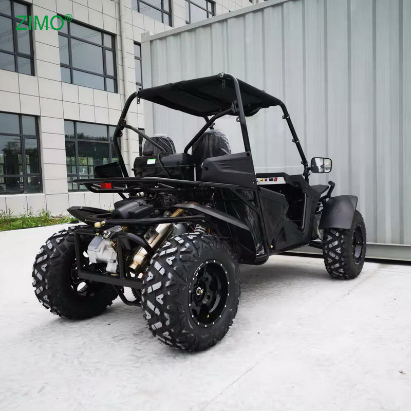 2024 Popular 300cc 2 Seats Dune Buggy