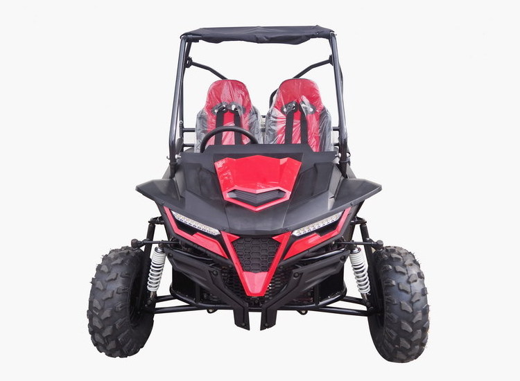 2024 45km/h 2 Seater Air Cooled Gasoline Adult 200cc Go kart, 4 Stroke Cheap Racing Buggy Go Kart for sale