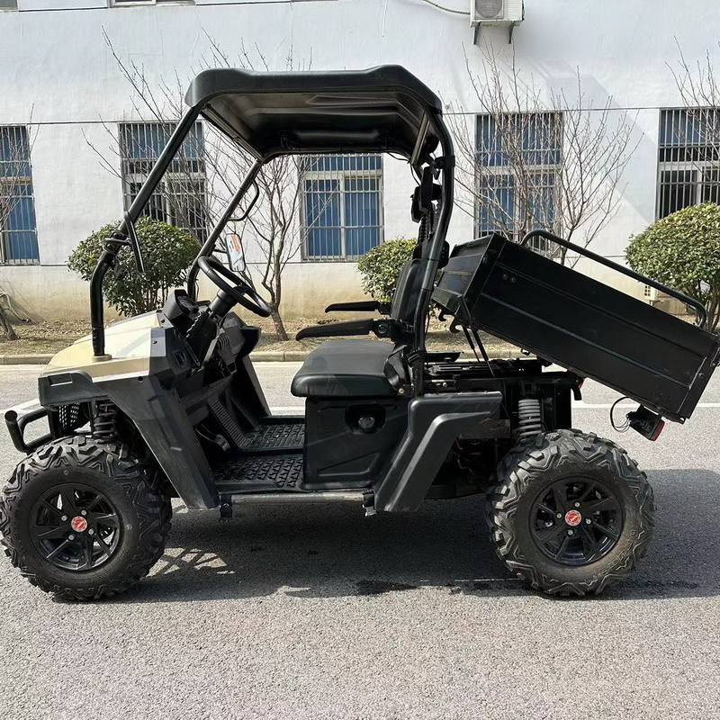 2024 4 Wheel 2 Seater FWD Gasoline Farm UTV