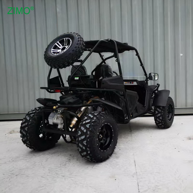 2024 New Gasoline 250cc 300cc 4 Stroke Beach Racing Go Kart for Sale, Off Road Side By Side Dune Buggy for Adults