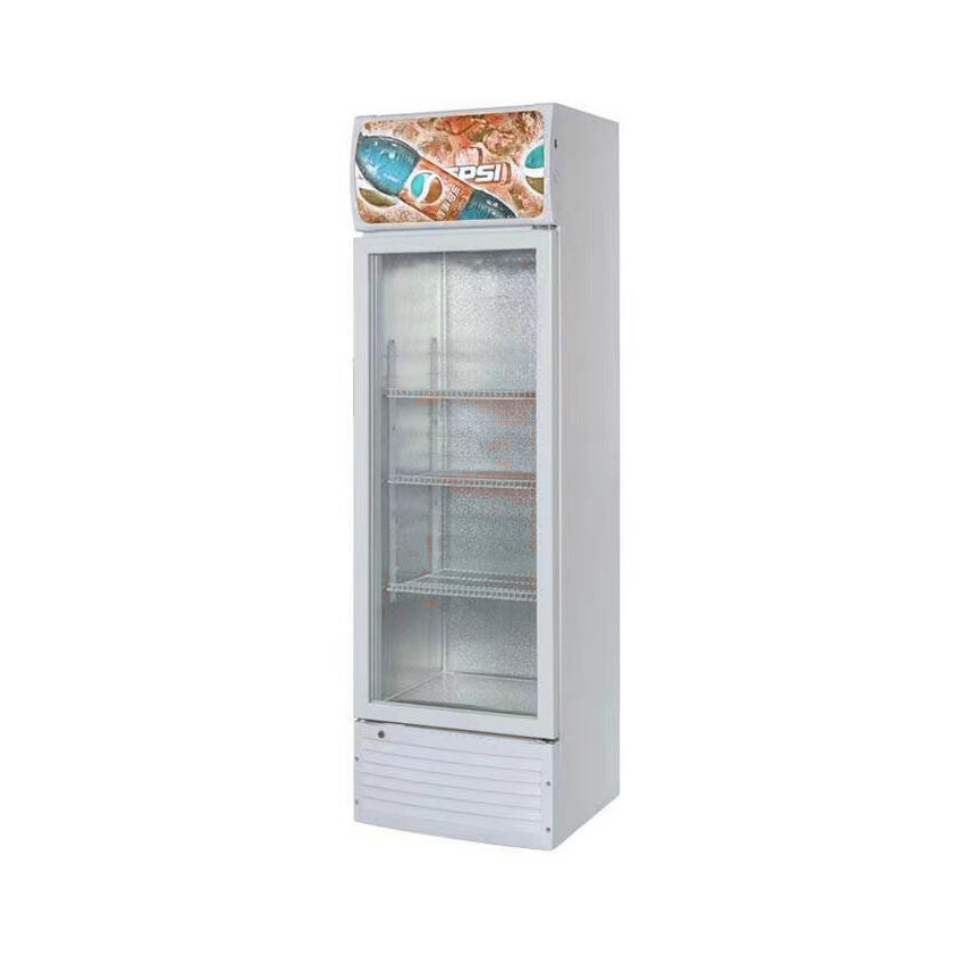 A low temperature refrigerator for storing beverages and beer