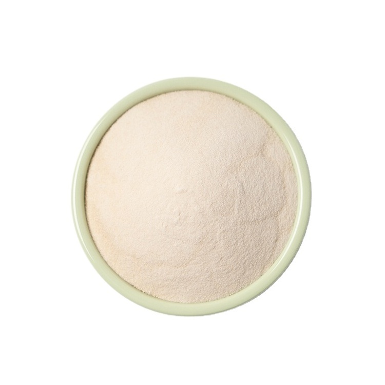 Thickener Food Additive Xanthan Gum Powder Stabilizer for Ice Cream