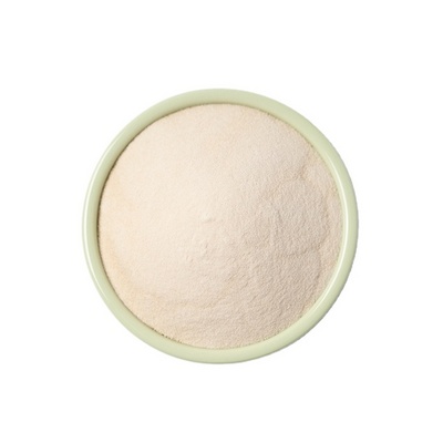 Thickener Food Additive Xanthan Gum Powder Stabilizer for Ice Cream