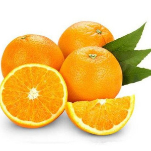 Artificial sweet orange/strawberry/watermelon/apple flavor concentrate essence food flavour