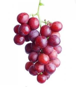 Natural concentrate fruit flavour Grape (red) aroma essence  flavor