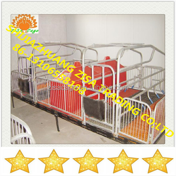 china zisa factory supply Hot dip galvanized pig farming crate sow stall