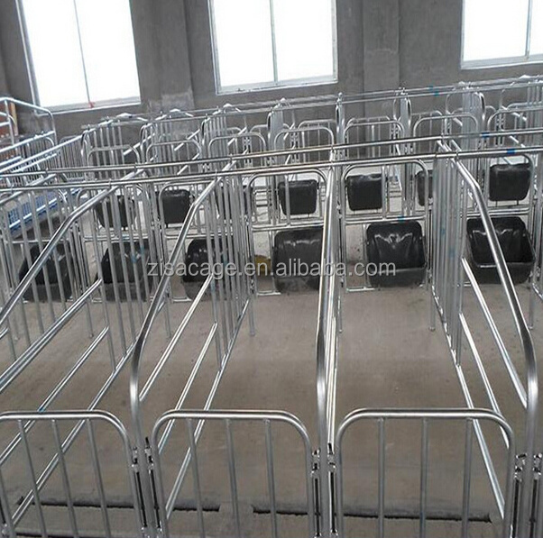 china zisa factory supply Hot dip galvanized pig farming crate sow stall