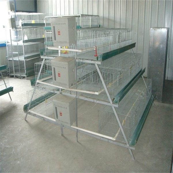 3 tiers x 5cells 120 chickens strong cage for poultry layer cage for sale made in china