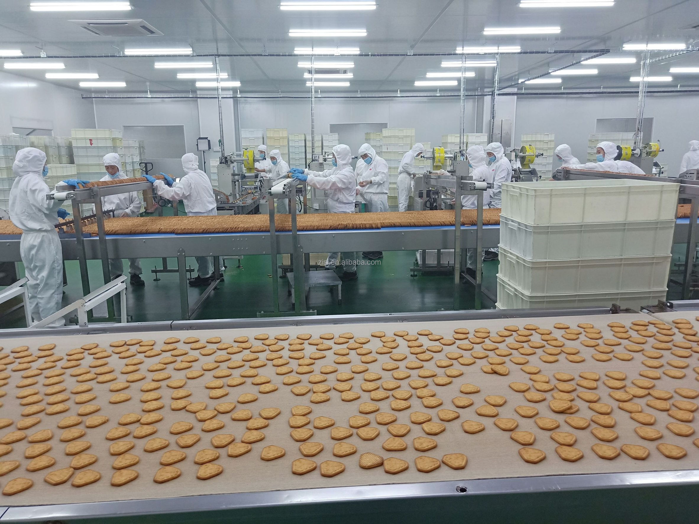 oem coco sandwich biscuit high quality biscuit with sell filled sweet chinese fortune cookies