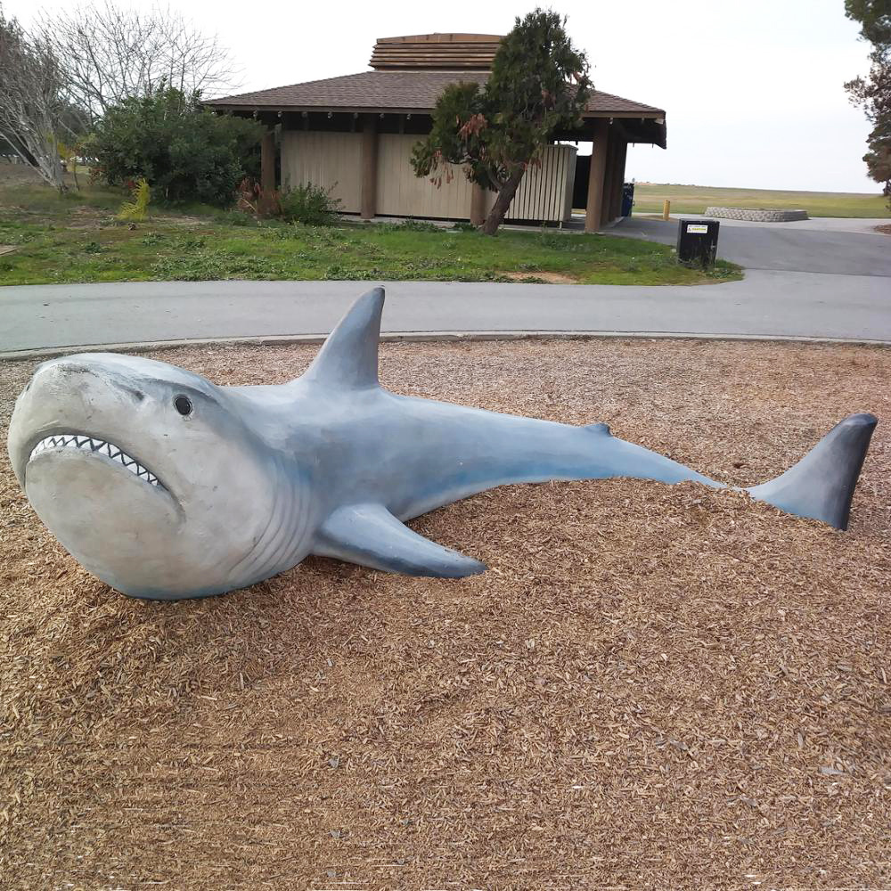 Outdoor Decoration Fiberglass Resin Shark Sculpture Animal Statue