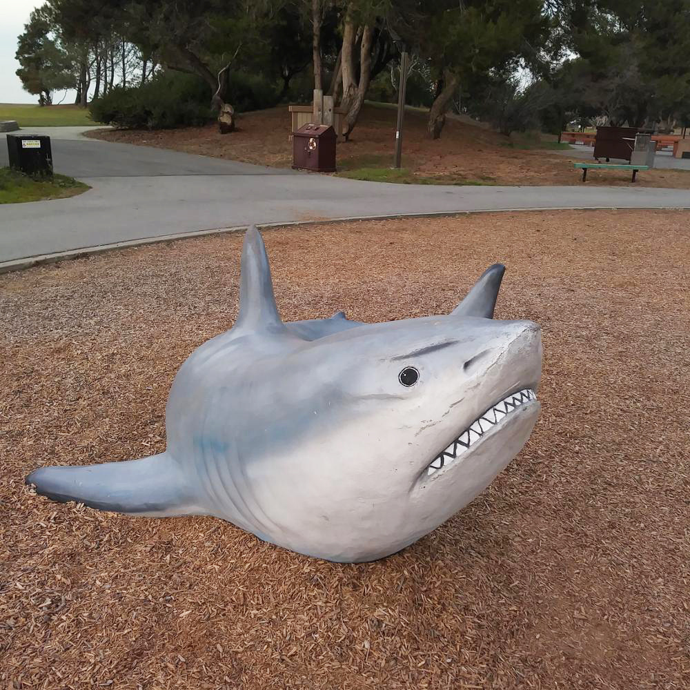 Outdoor Decoration Fiberglass Resin Shark Sculpture Animal Statue