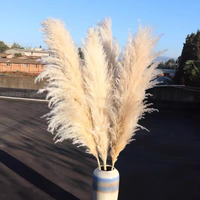 100cm 39 Inch High Quality Shop Art Gallery Decoration Pink White Beige Artificial Faux Pampas Grass