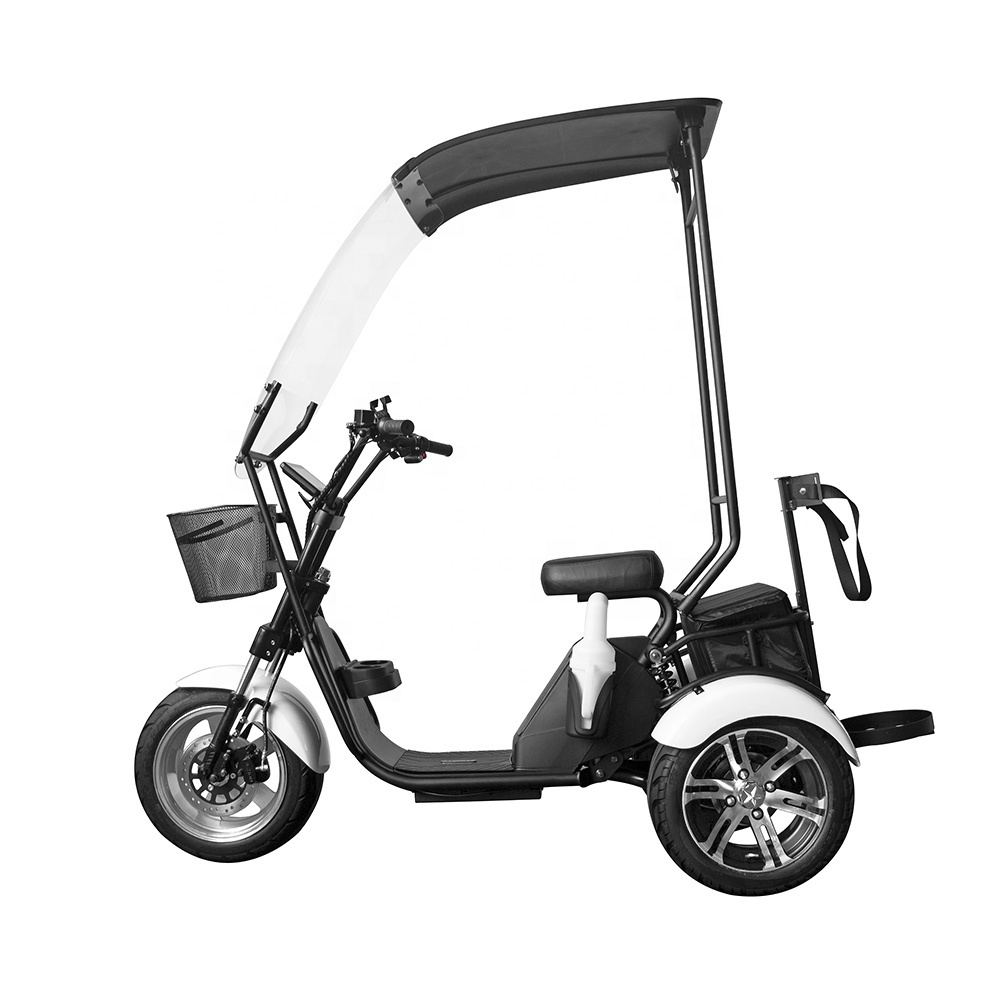 Fat tire Trike 1000w Lithium Battery Scooter Citycoco Electric Golf Carts 3 Wheel Golf Tricycle