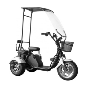 Fat tire Trike 1000w Lithium Battery Scooter Citycoco Electric Golf Carts 3 Wheel Golf Tricycle