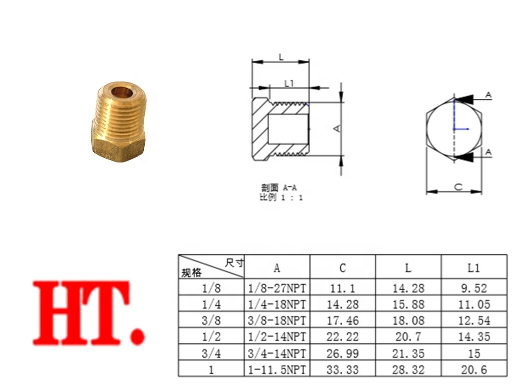 Brass Hex head plug (MIP) Male Thread Coupling Cored Hex Head Plug