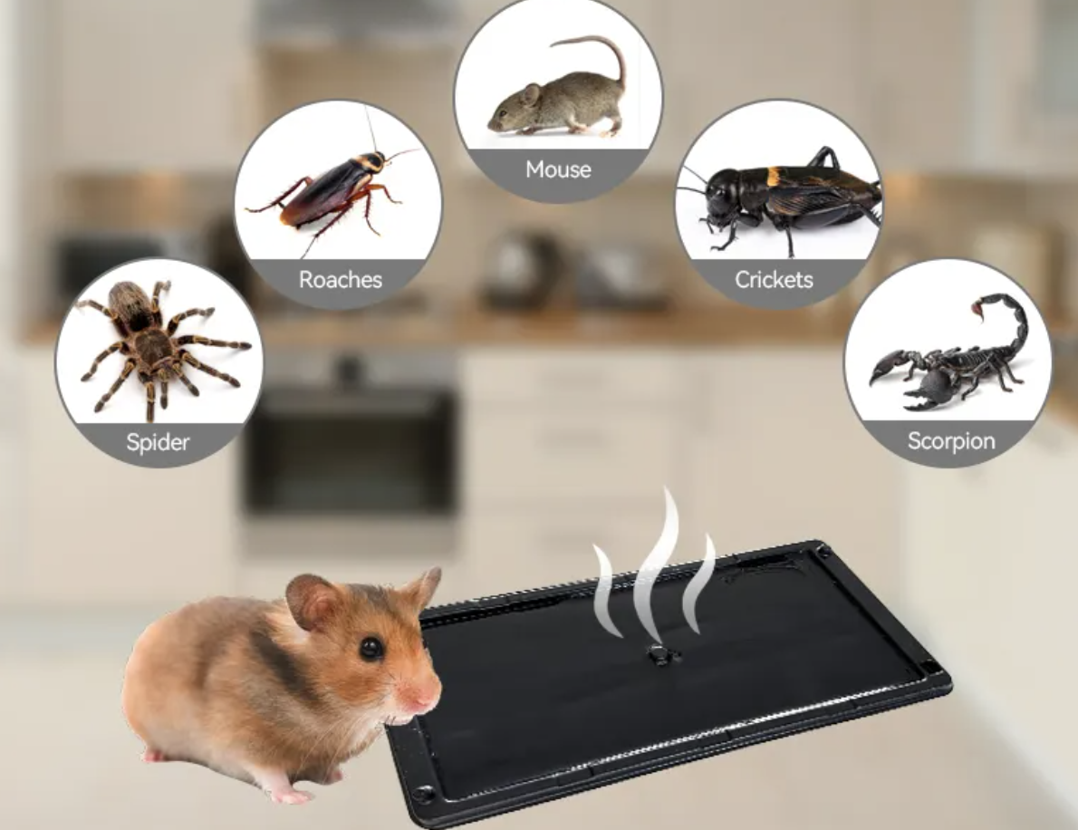 Mouse And Rat Glue Trap Board Making Machine With Rat Capture Hot Melt Glue For  Mouse And Rat Capture