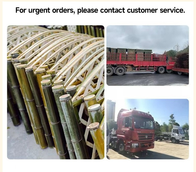 8 foot tall one inch bamboo fencing 16 feet length 8-10 mm reed 8ft rolls fence