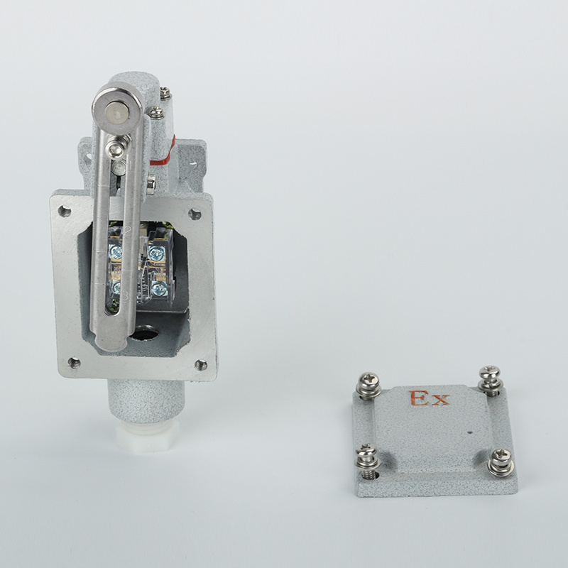 Explosion Proof Stainless Steel Actuator Travel Limit Motor Switch