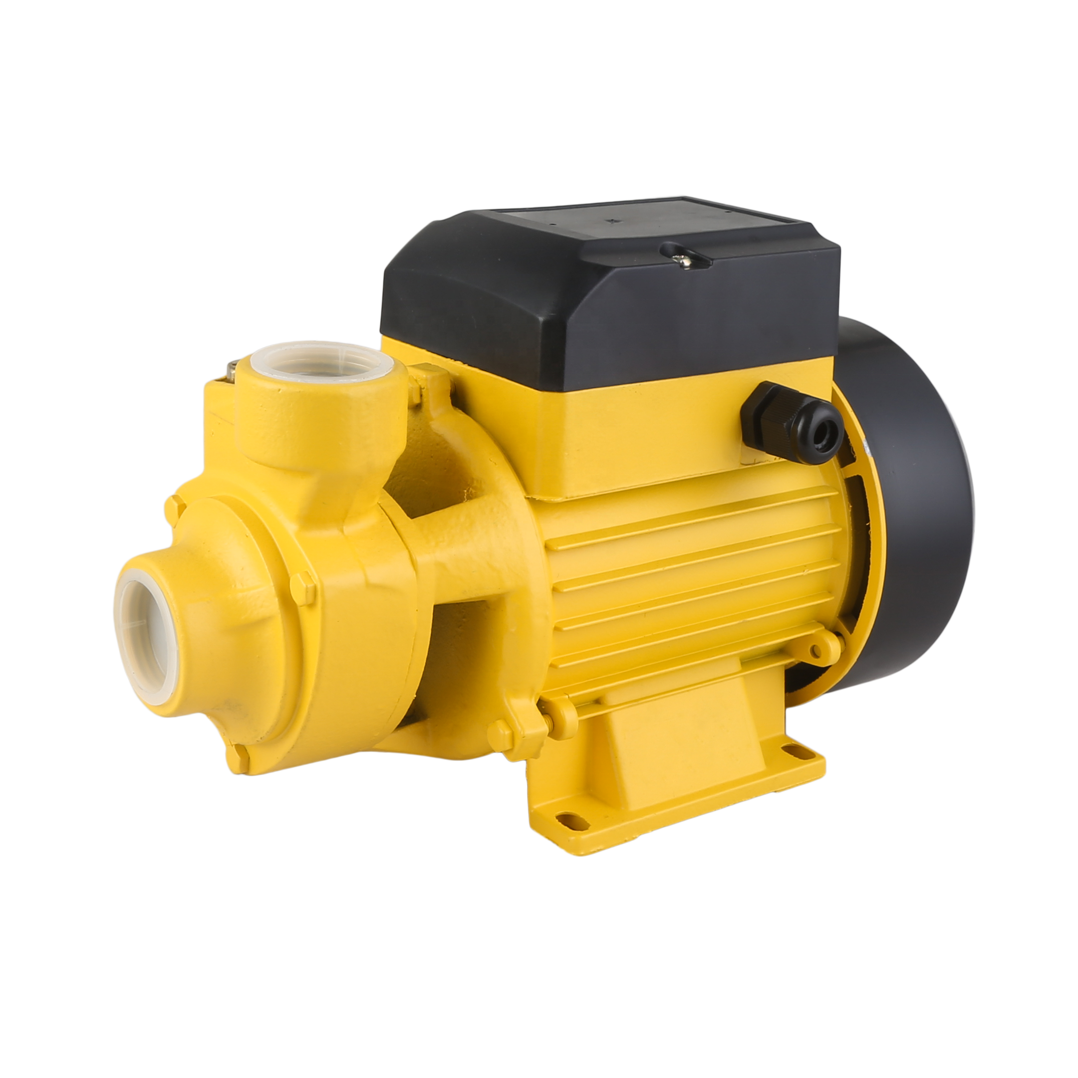 QB60 60hz50hzdc above ground swimming pool magnet diaphragm pump manual cnp water pump sea water pump