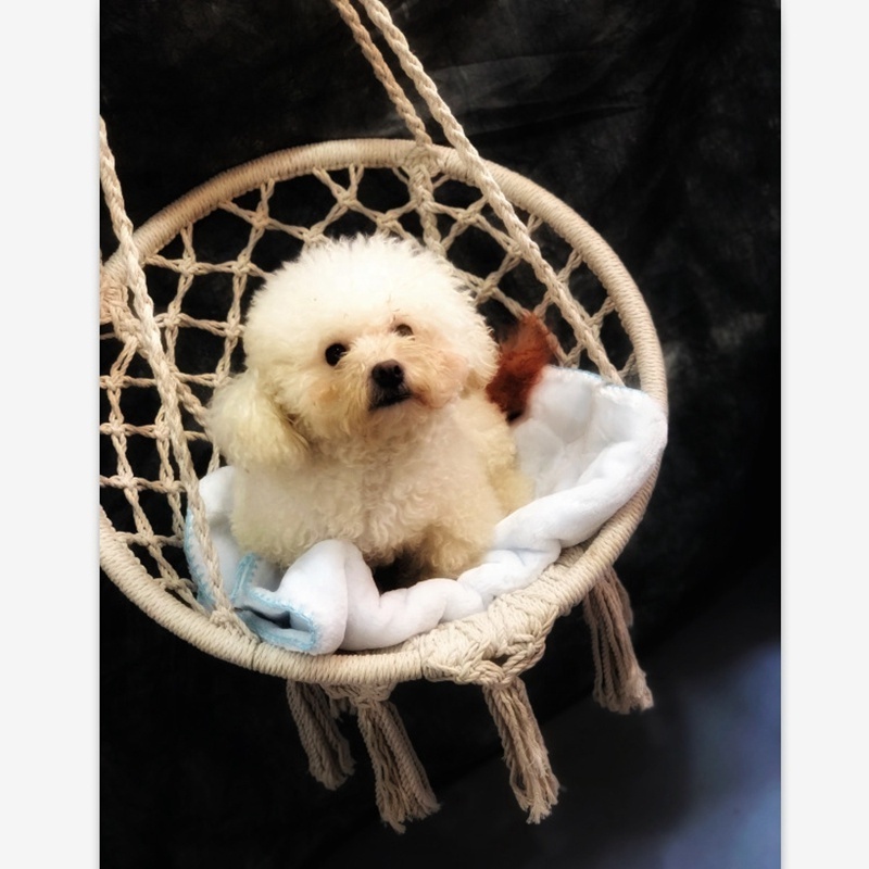 BODI  Macrame Hanging Pet Hammock Chair Small Round Kids Basket Swing Cat Dog Hammock Swing Chair