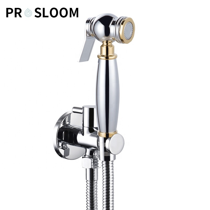 Europe Light gold Kitchen and bathroom Self Cleaning Handheld Portable Faucet Toilet Bidet Shattaf Attachment Bidet Sprayer Sets