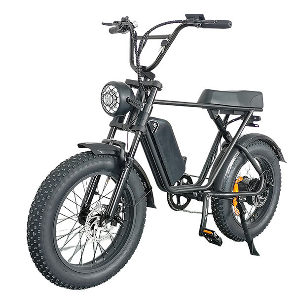 USA EU Warehouse Ready Stock C91 1000W Electric Bicycle 20