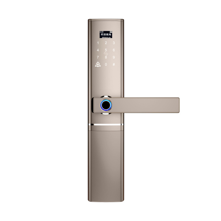 2020 hot sale fashion simple design fingerprint smart door lock